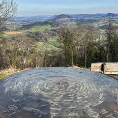 25-03-21 15-33-52 2501